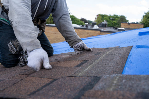 Best Metal Roofing Contractor  in Meridian, PA